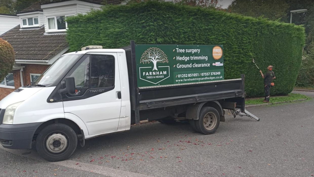 Tree surgery services in Surrey
